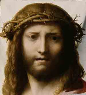 crown of thorns